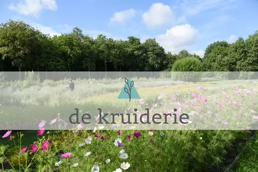 De Kruiderie contact